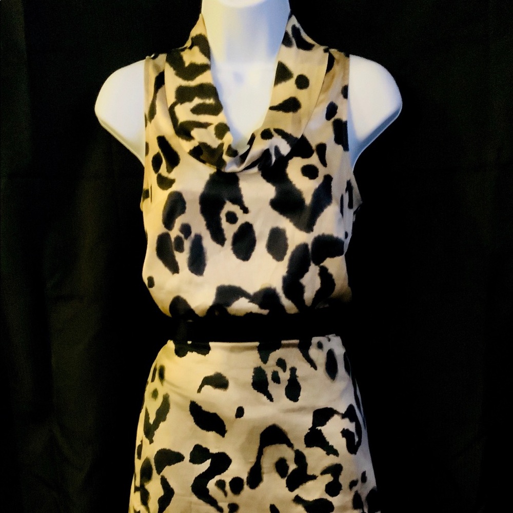 Ann Taylor Two Piece Printed Dress